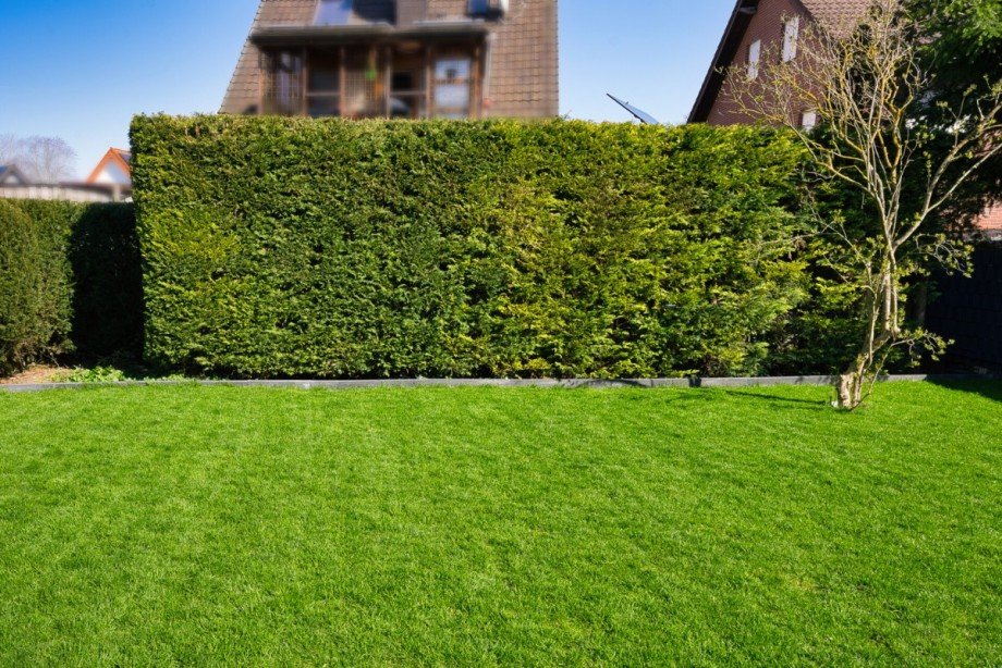 Gartenansicht Doppelhaush�lfte Langerwehe / Hamich