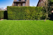 Gartenansicht Exklusive Doppelhaush�lfte mit gro�z�gigem Raumkonzept und stilvollem Wohnambiente