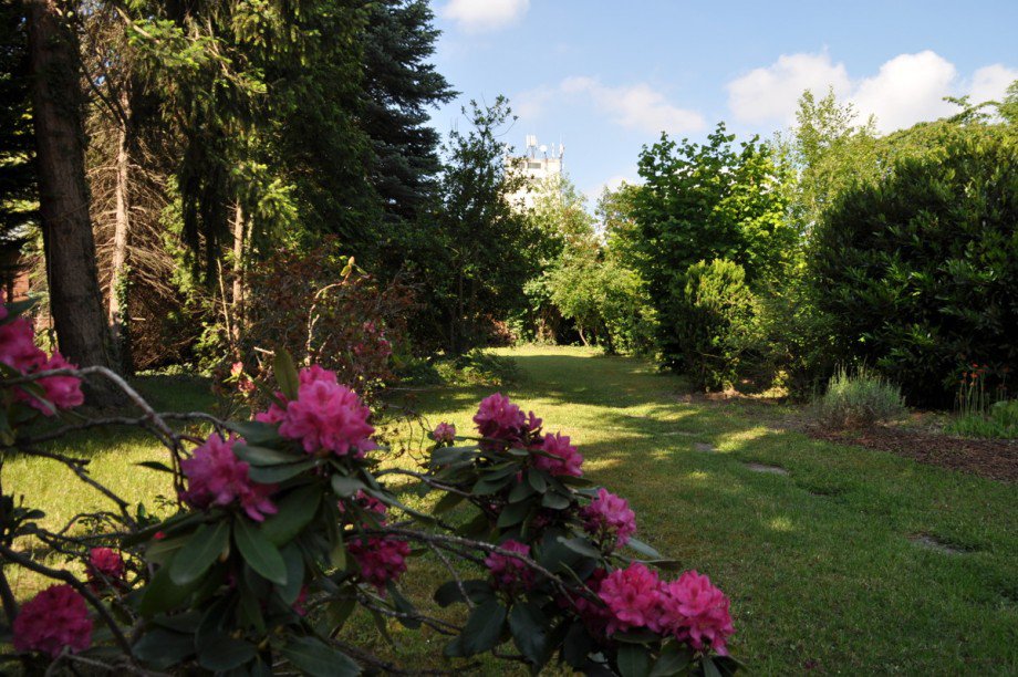 Garten Einfamilienhaus Kerpen