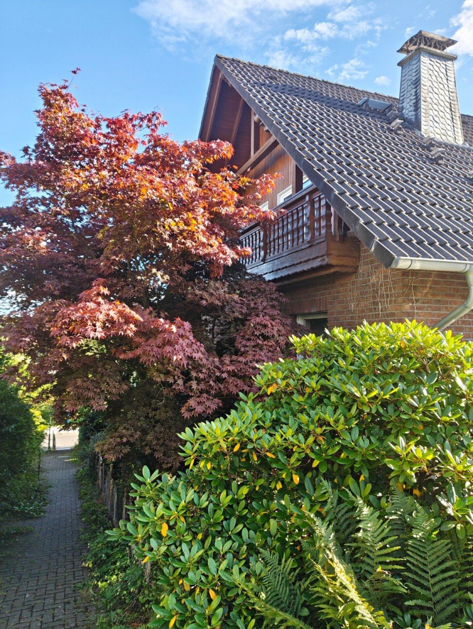 Seitenansicht Einfamilienhaus Wiehl
