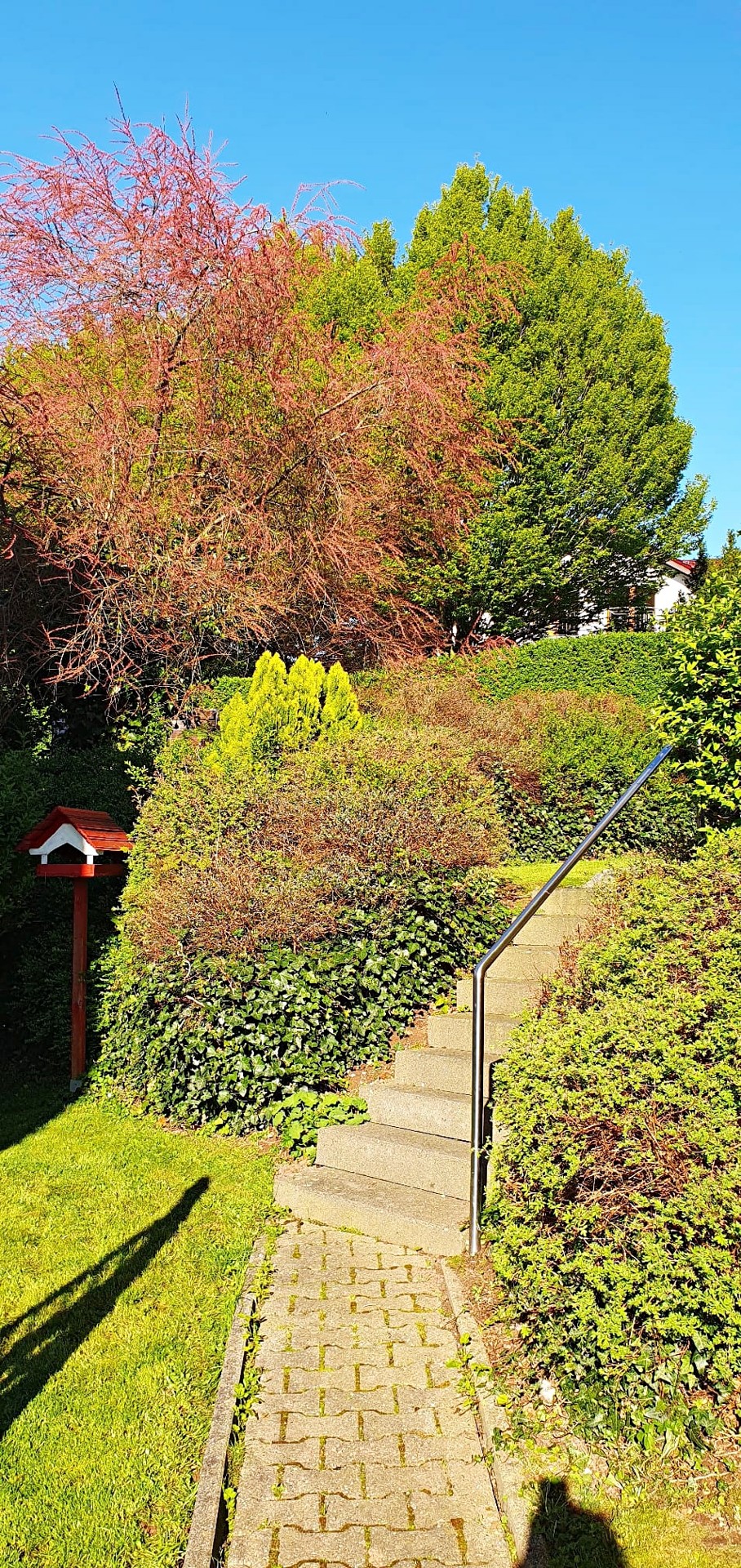 Garten Maisonettewohnung Nideggen